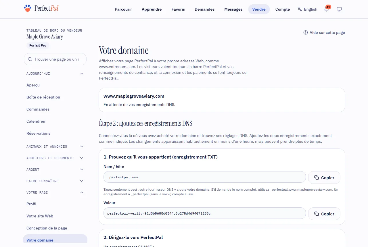 La page Votre domaine avec les enregistrements DNS à ajouter